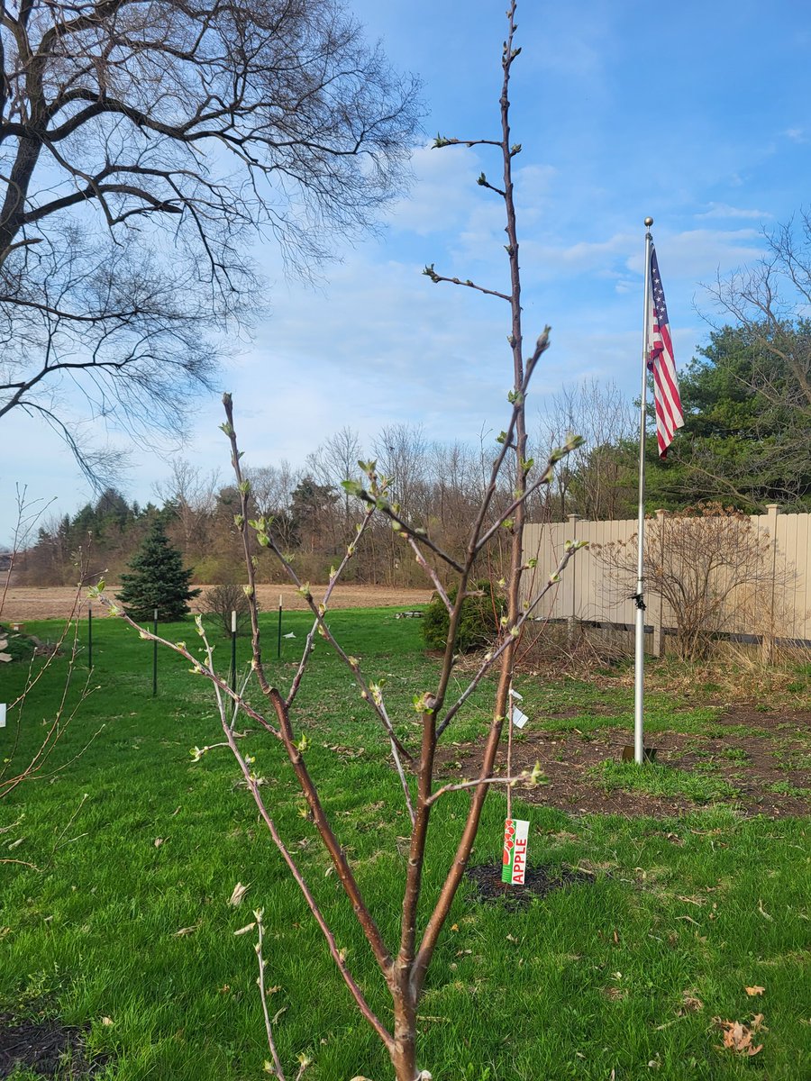 Salty Cheese Ohio 2 tweet media