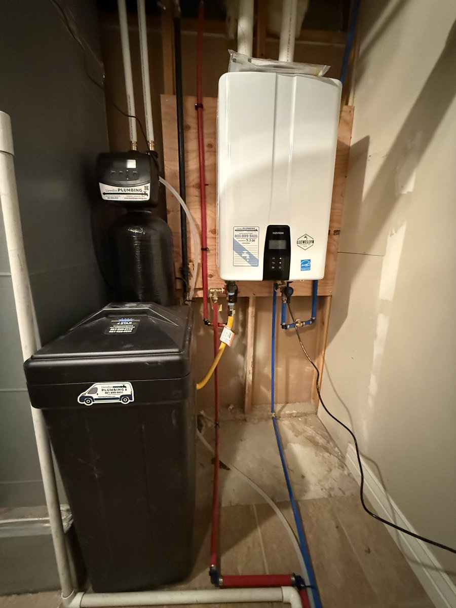 Todd Llewellyn tweet media