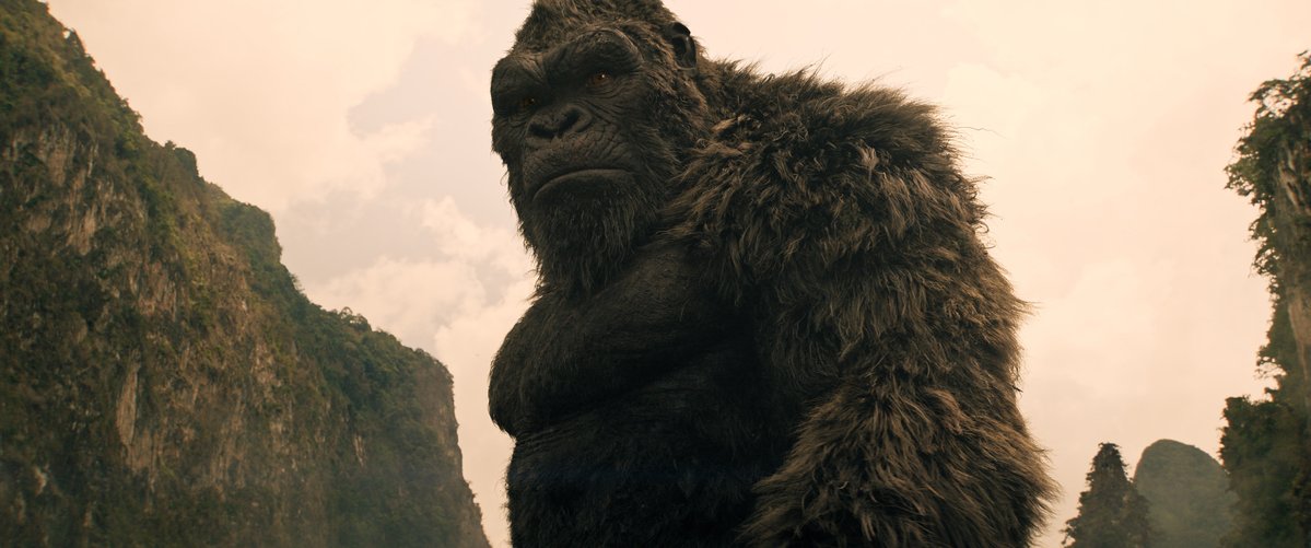 Official D Man1954 tweet media