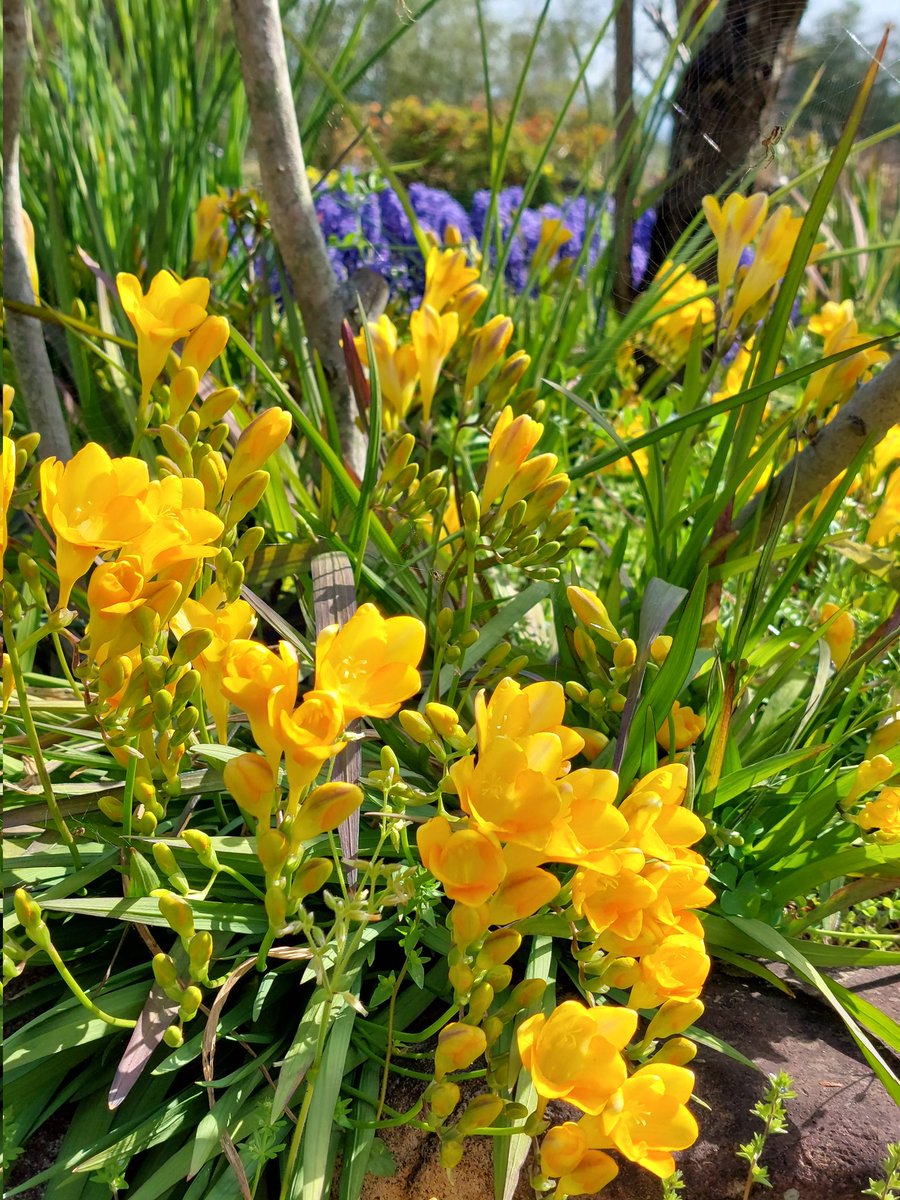 大さじ小さじ tweet media