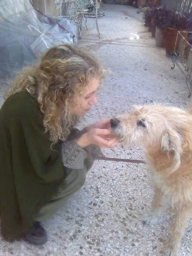 Στον απόηχο της ημέρας για τα αδέσποτα, ένα από τα λατρεμένα μου  πλάσματα, για 18 χρόνια στη ζωή μου και για πάντα στην καρδιά μου, ο Κοπούλης μου…

#dogsforever #EternalLove #eugeniaarsenis #tzeniarseni