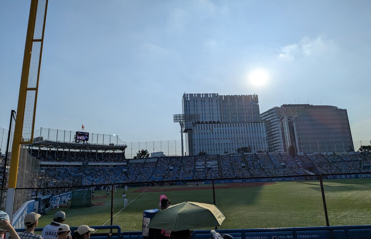 つるかめ🐈生涯スワローズファン🐧 tweet media