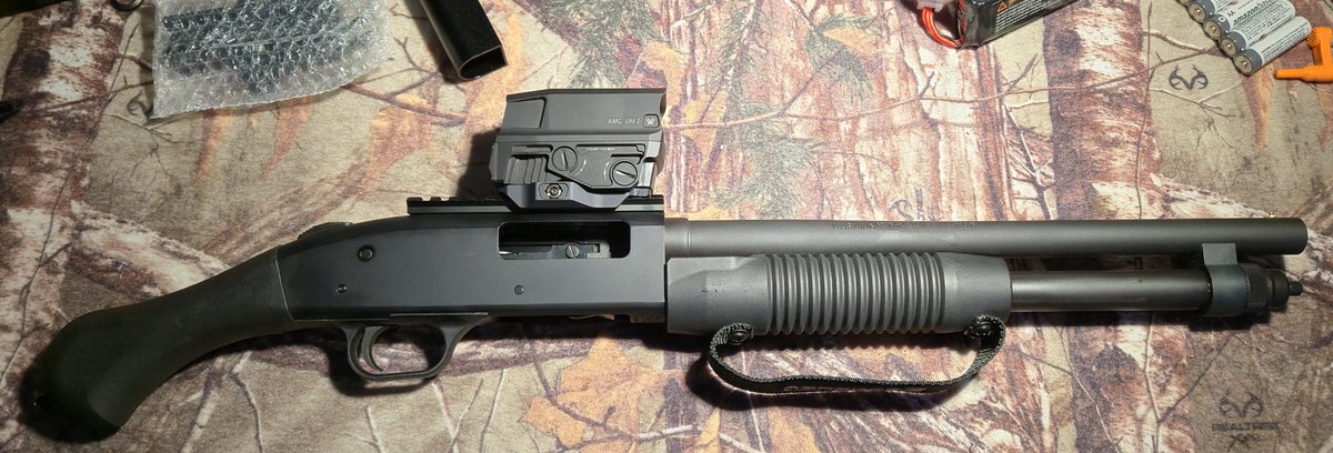 ZMAN0179 tweet media