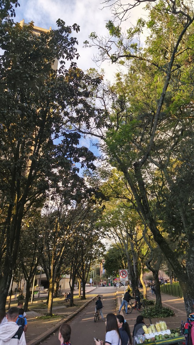 Liz Skywalker tweet media