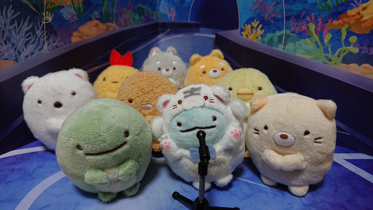 月子🌙 tweet media