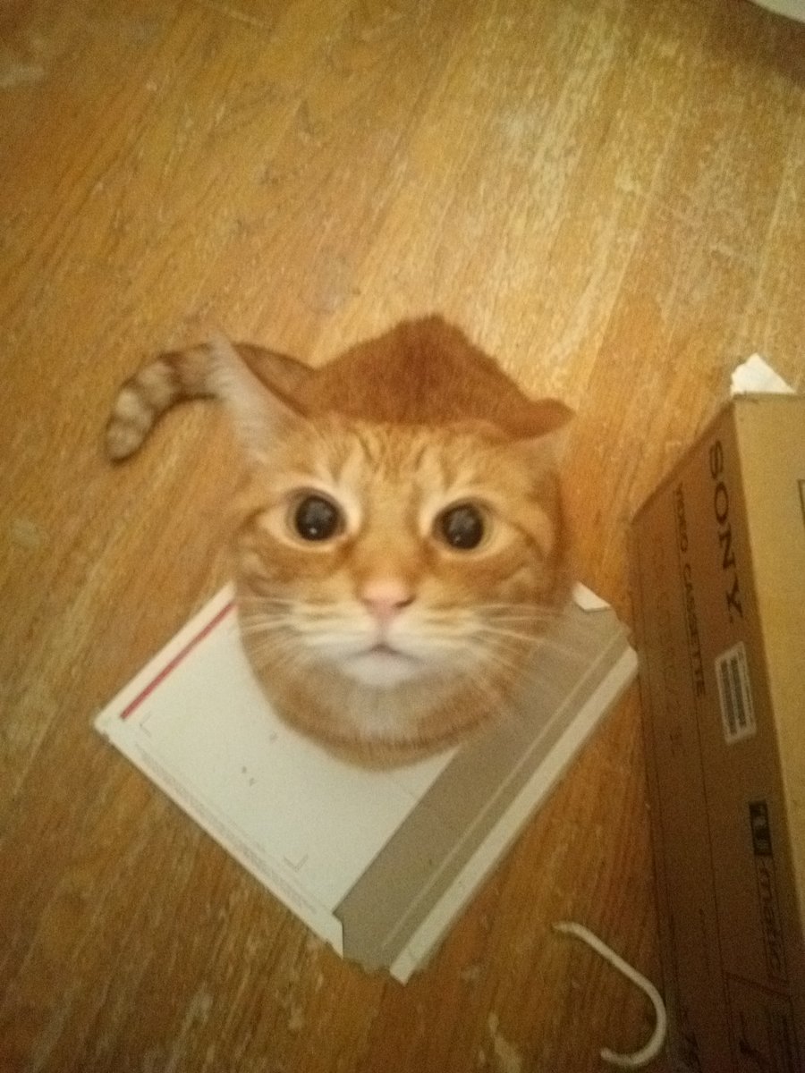 Anthony Parsons tweet media