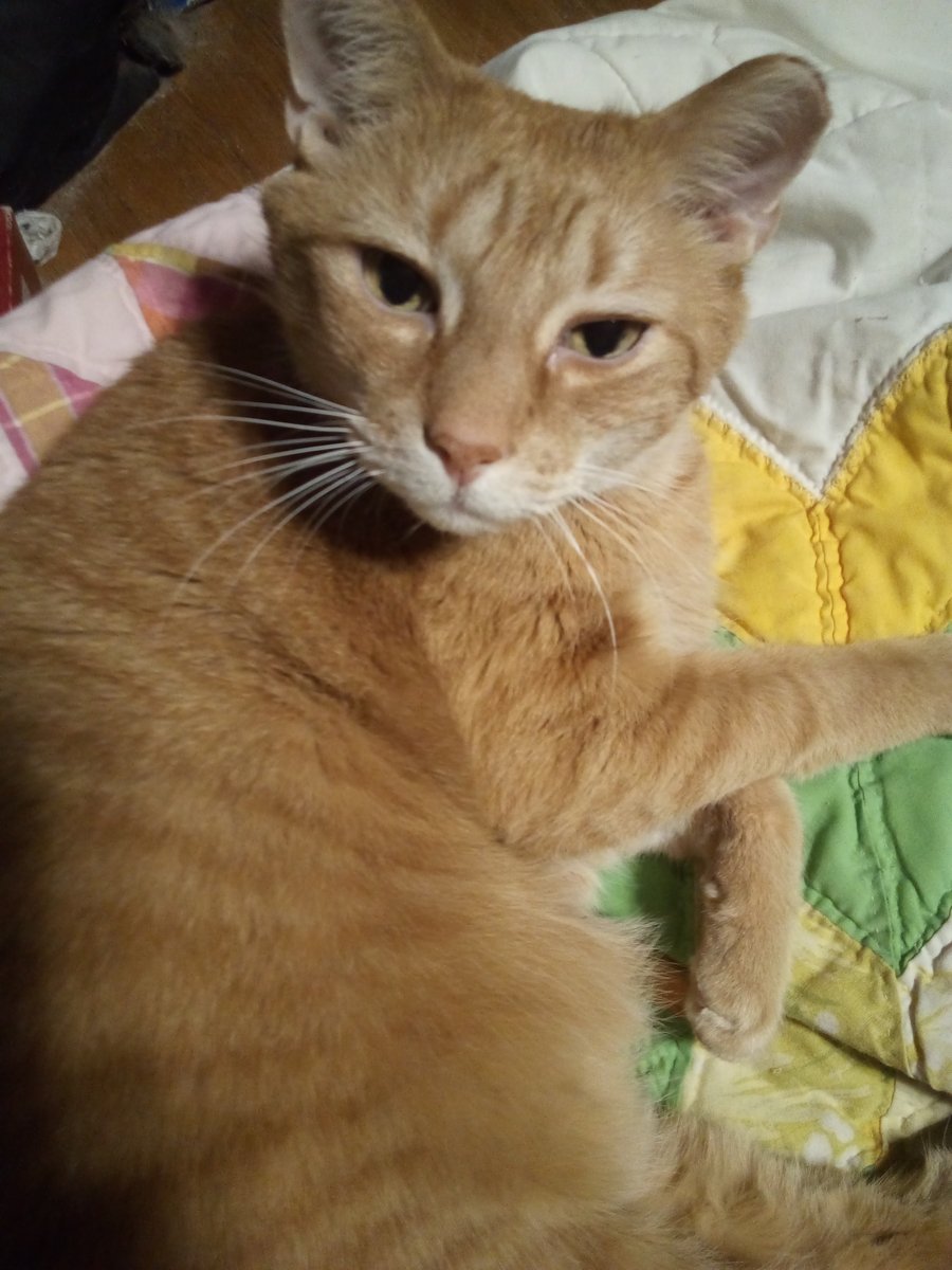 Anthony Parsons tweet media