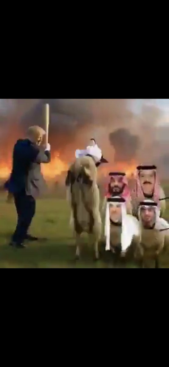 e_sperit75218's tweet photo. @ftyfty168001 @Faisalbinyazaid هذه الكلاب من سلاله الملوك . هذا النوع من سلاله  كانوا في  العصر البابلي، استخدموا جلودها لصنع الدف. وهذه السلاله من الكلاب مهدده للانقراض  لأن العلم الحديث اكتشف أنواعاً من البكتيريا التي توجد على جلد هذه الكلاب.تهدد البشريه..يحذر العلماء من انتشار هذا النوع من الكلاب. https://t.co/xtze6WxQxP
