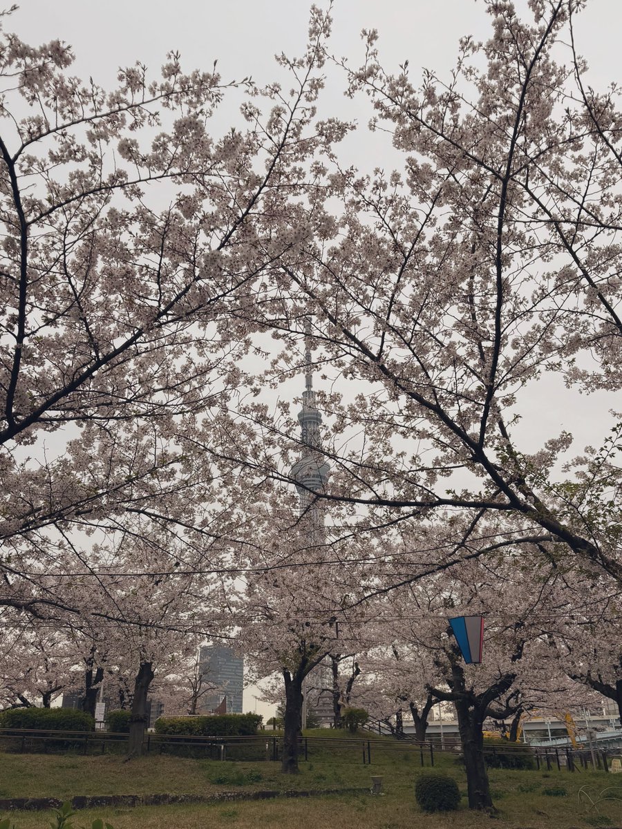 マッチョマン tweet media