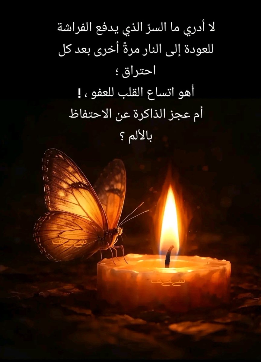 💚1ᓚɺᎧLɹ̇ᒧI˼ tweet media