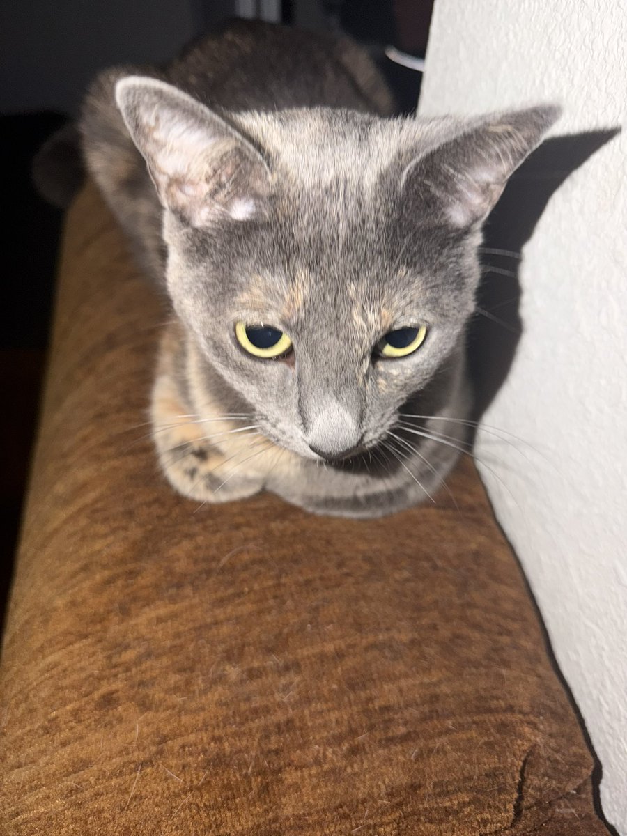 Me and <a href="/yungcheech928/">c4eec4</a> got a huge surprise for yall at 5,000 subscribers, stay tuned….