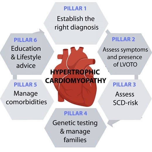 drbennisahmed's tweet photo. Comprehensive evaluation of hypertrophic cardiomyopathy: European Journal of Heart Failure expert consensus document

Establishing the correct diagnosis, which requires differentiation between sarcomeric HCM and phenocopies such as amyloidosis, Fabry, or mitochondrial disease, using multimodal imaging and genetic testing. (ii) Establish presence of symptoms and of left ventricular outflow tract obstruction (LVOTO), which is central to symptom evaluation, prognostication, and treatment

#Cardiology #MedTwitter #CardioTwitter #HeartHealth #Healthcare

@HFA_President @EJHFEiC @ESC_Journals @DrMarthaGulati @hvanspall @ShelleyZieroth @dranulala @Hragy @cardioceptor 

https://t.co/HTcHF50Zfh