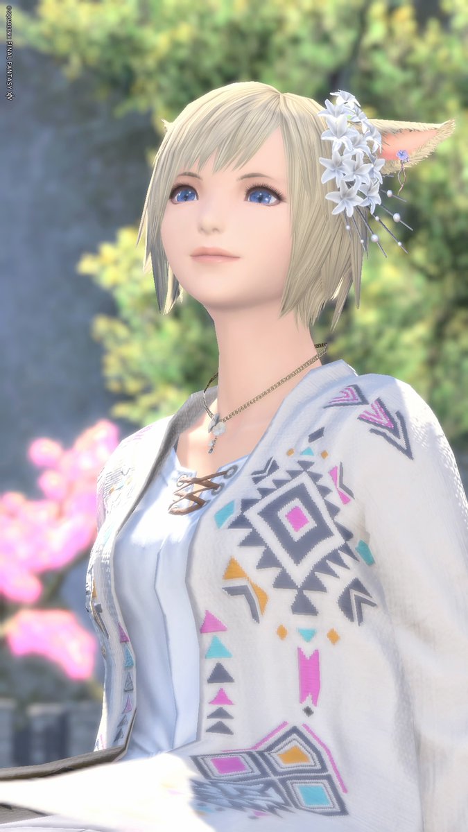 ステラ❖槍鯖 tweet media