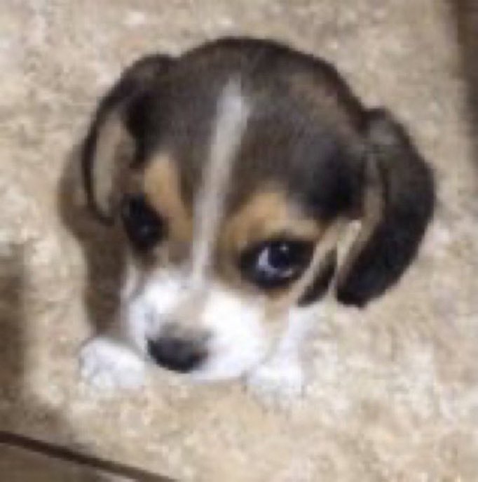 daniel ⚣ tweet media