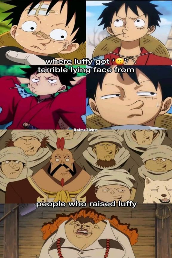 One Piece Daily tweet media