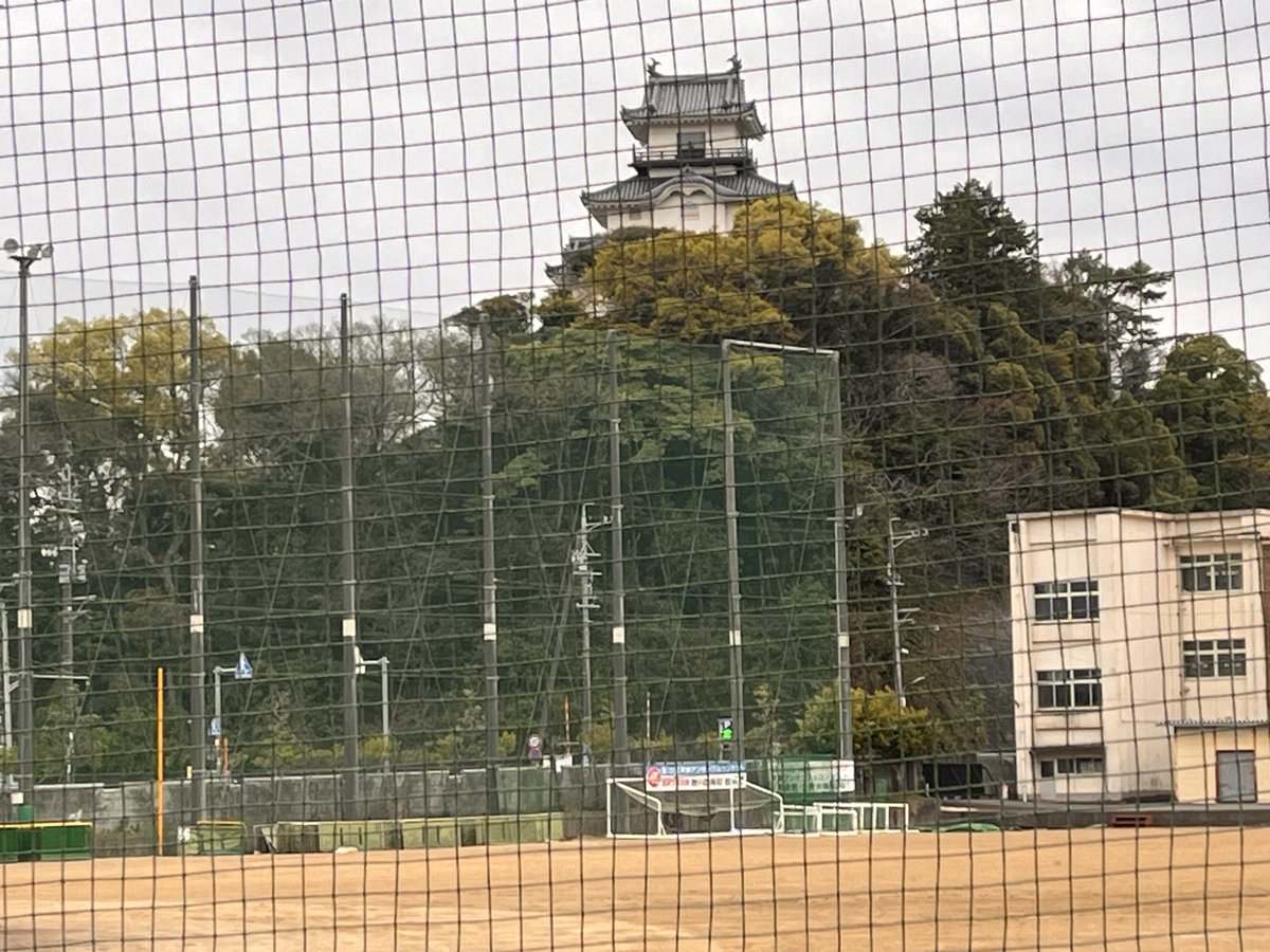 茶坊主 tweet media