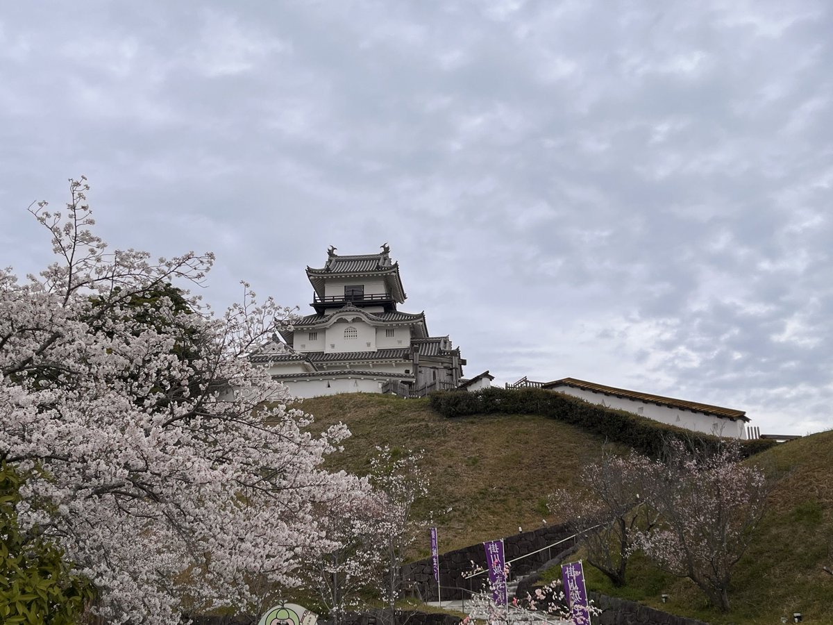 茶坊主 tweet media