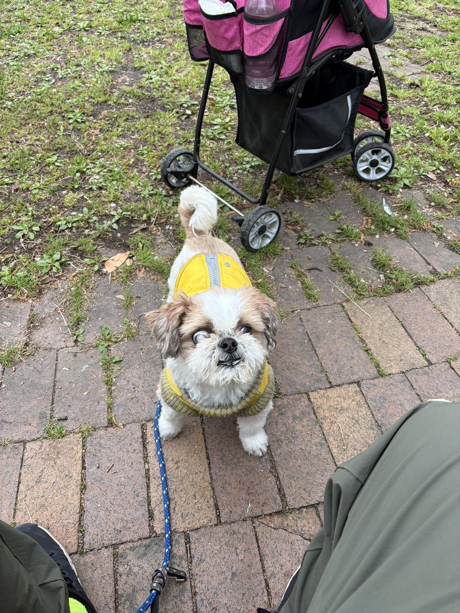 南⃝ 風⃝ 野⃝（🅷🅰🅴🅽🅾） tweet media