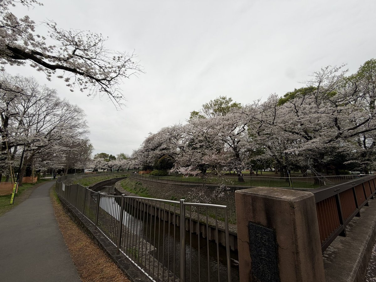 南⃝ 風⃝ 野⃝（🅷🅰🅴🅽🅾） tweet media