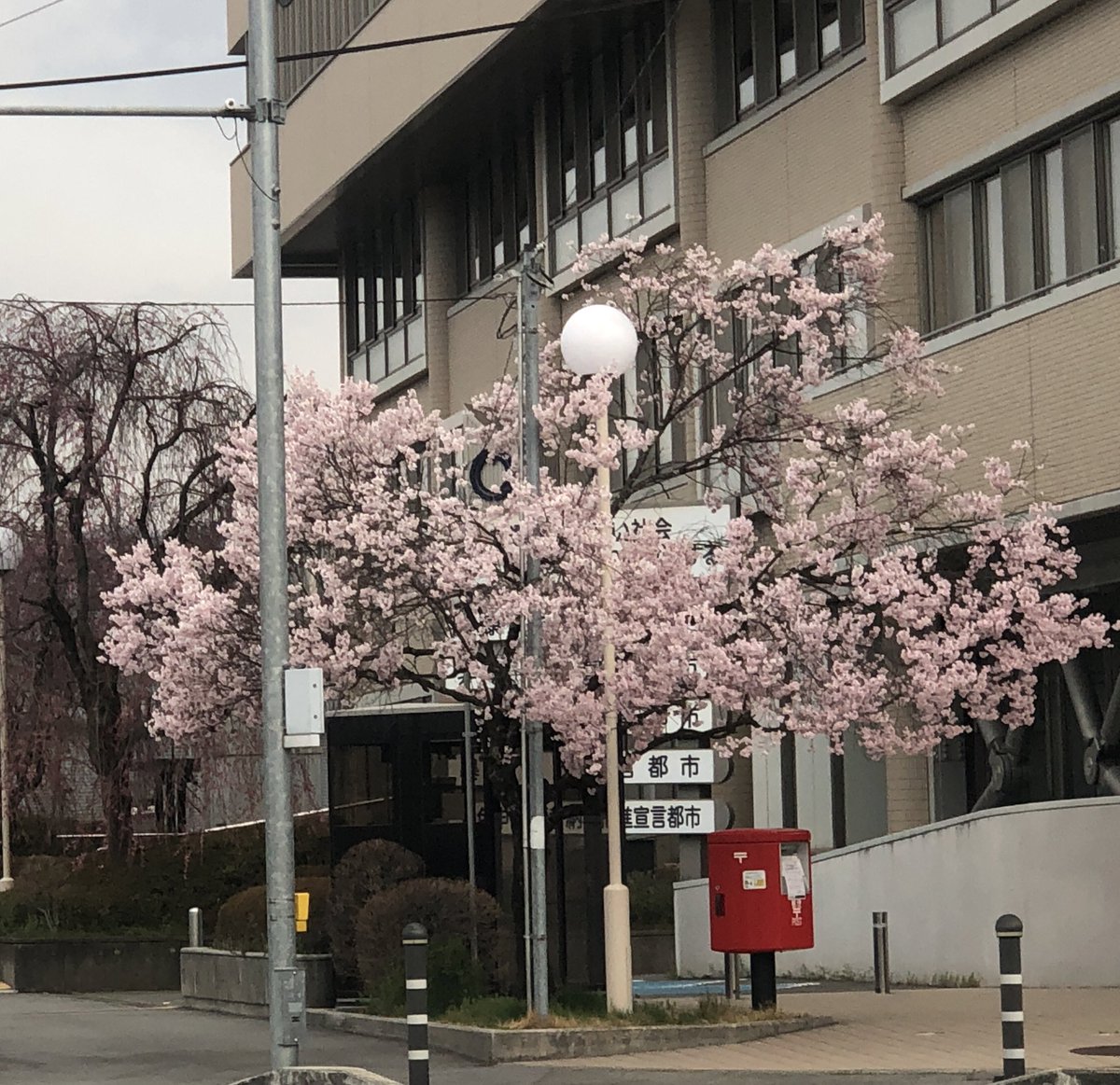 JJ0ETL はちにゃんと行く！すわOL38 tweet media