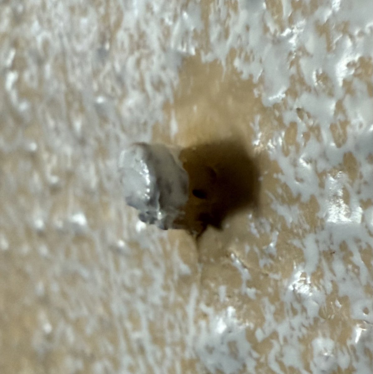 ☘️𝕃𝕦𝕔𝕜𝕪 Ƒʉͫcͧкͭιͪηͣ 𝕄𝕔𝔾𝕖𝕖 tweet media