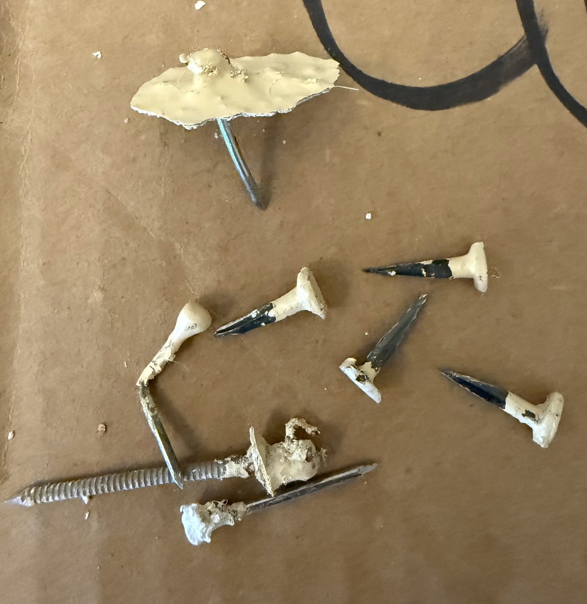 ☘️𝕃𝕦𝕔𝕜𝕪 Ƒʉͫcͧкͭιͪηͣ 𝕄𝕔𝔾𝕖𝕖 tweet media