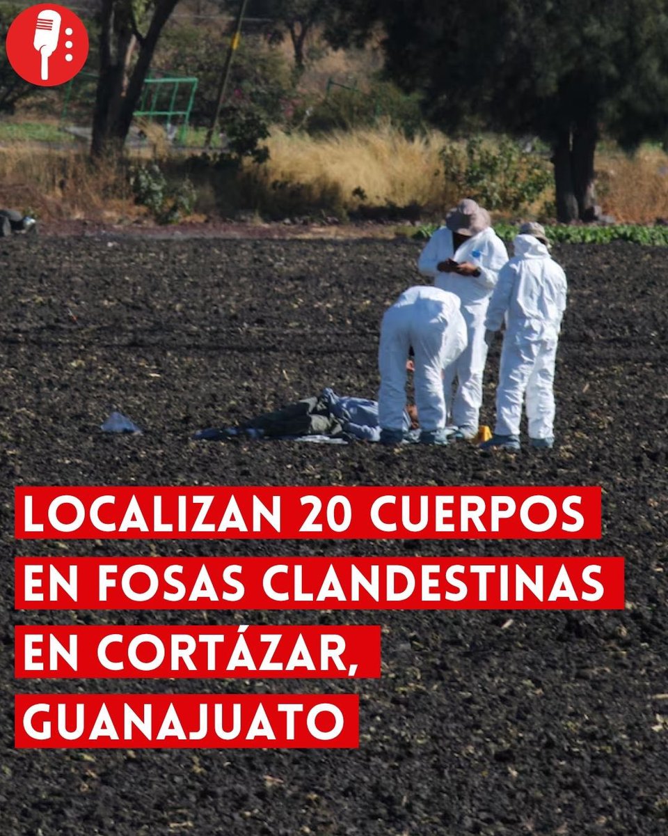 Los Reporteros MX tweet media