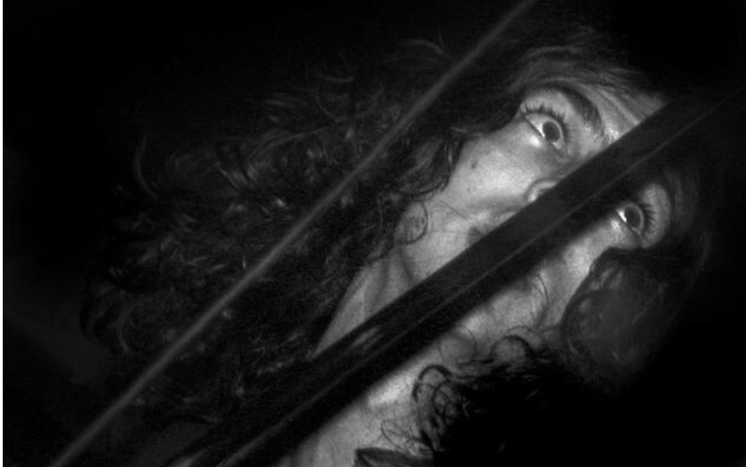 The Verve Daily tweet media