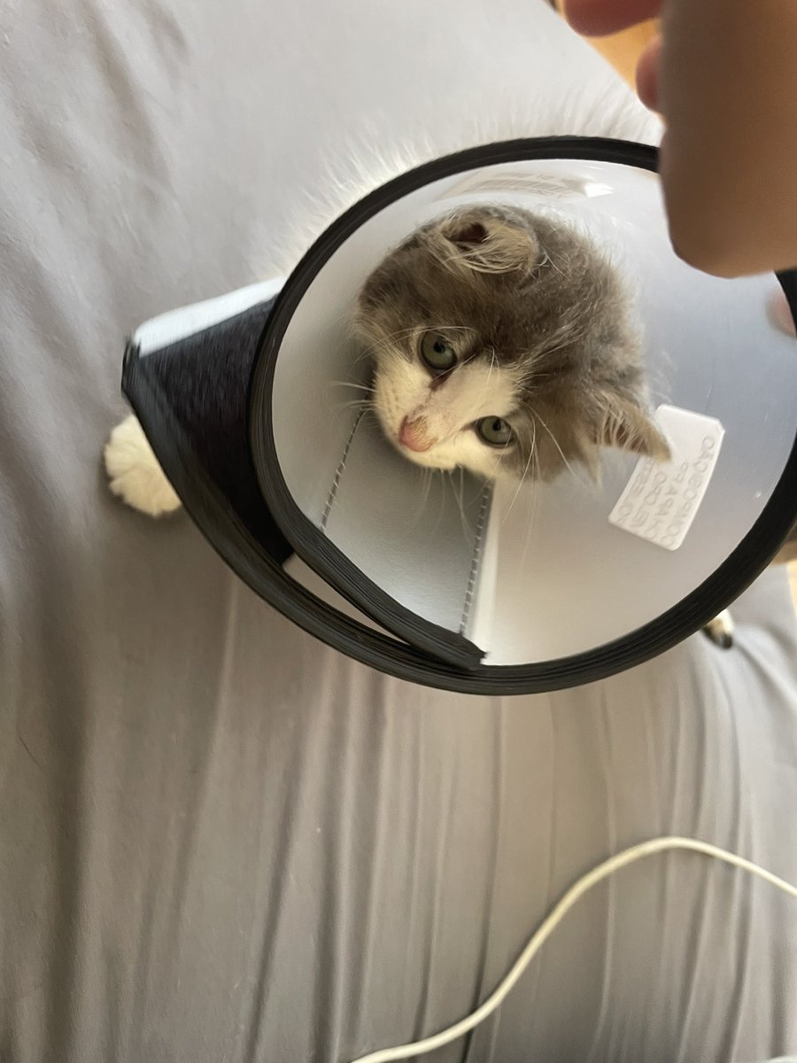 resgatada mas a que custo