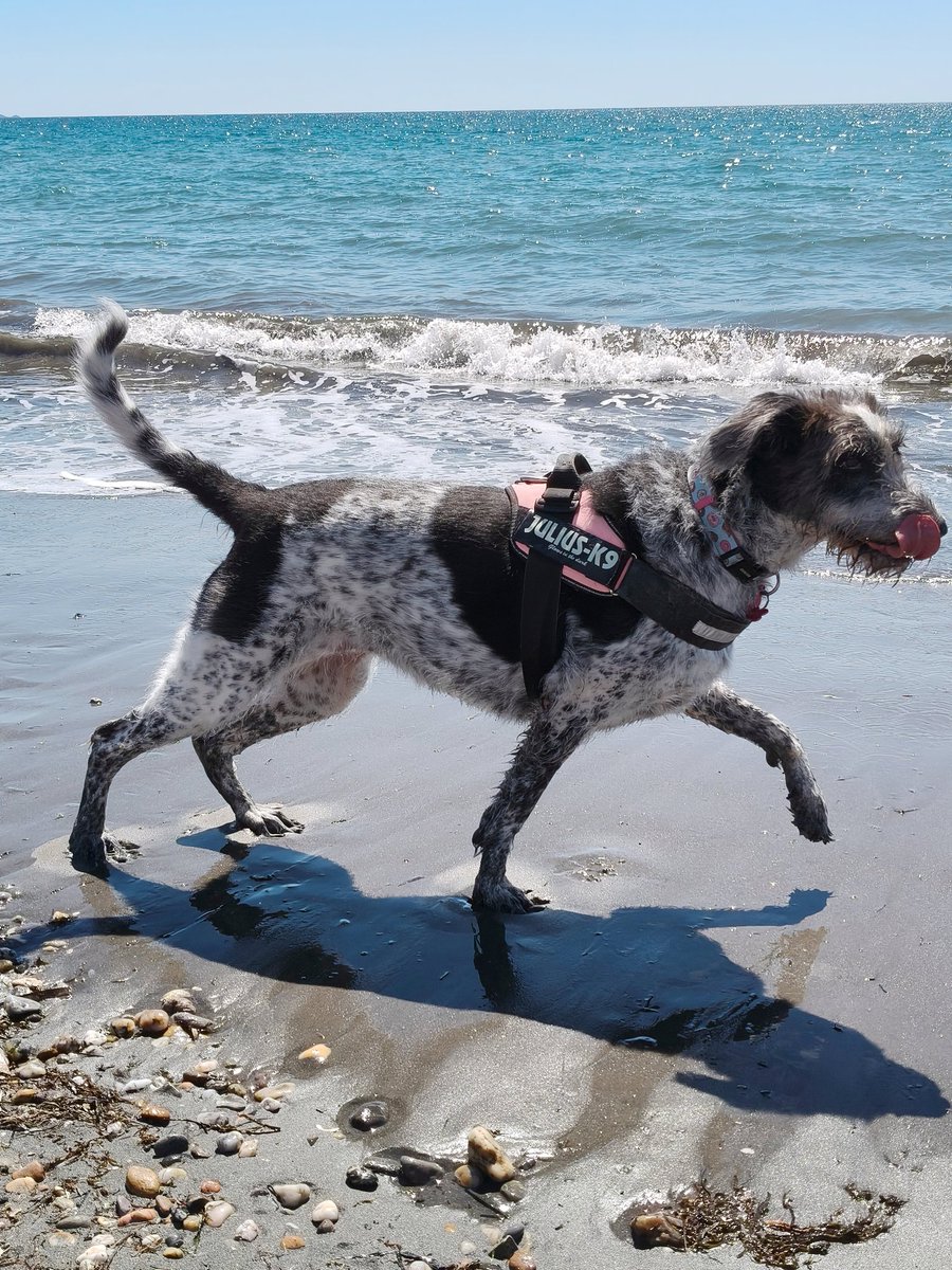 Estefanía tweet media