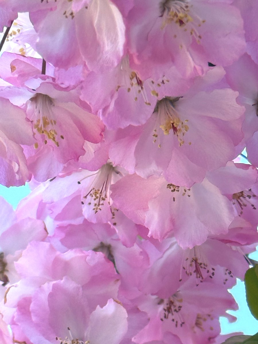 うに🧡 tweet media