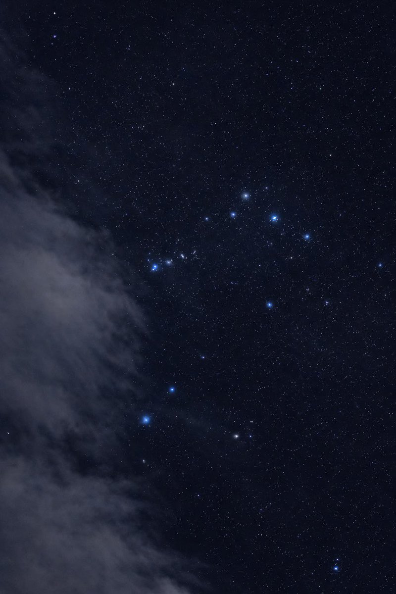 Stargirl tweet media