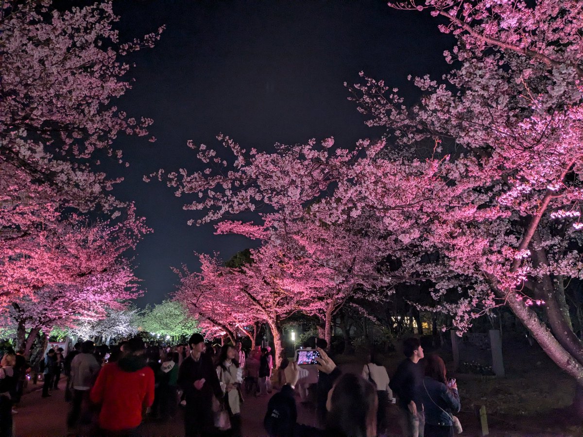 1975 drippy tweet media