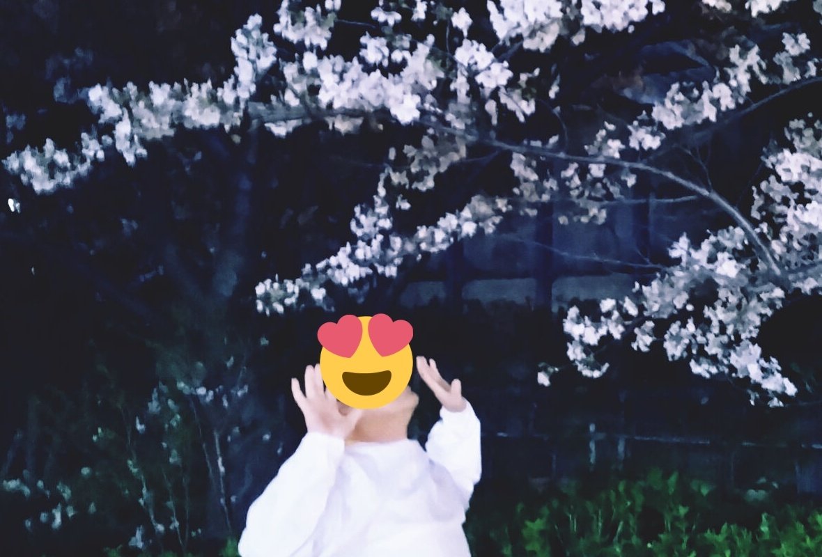 トルコライス tweet media