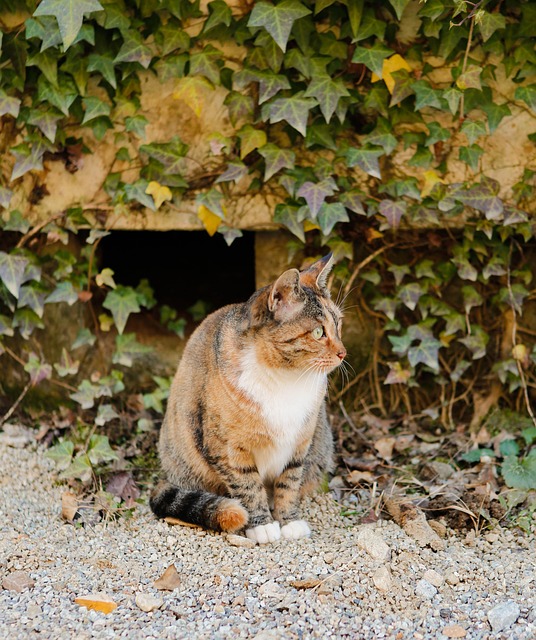 Ashley Smith tweet media