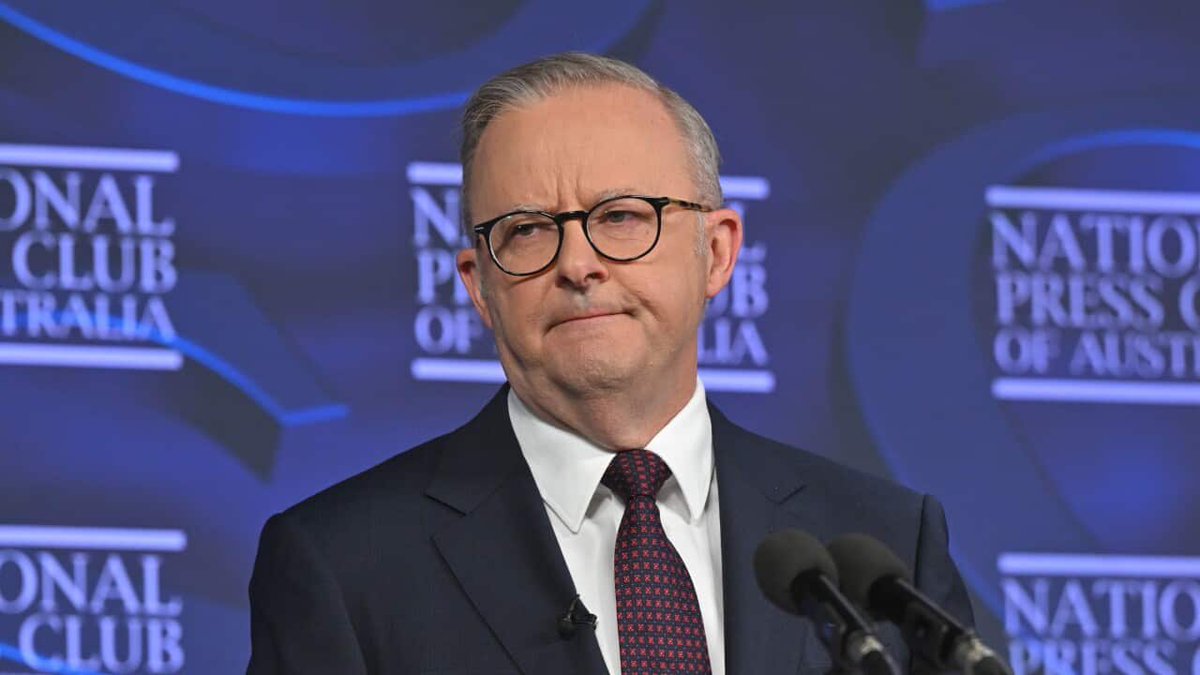 Ryan Dally tweet media