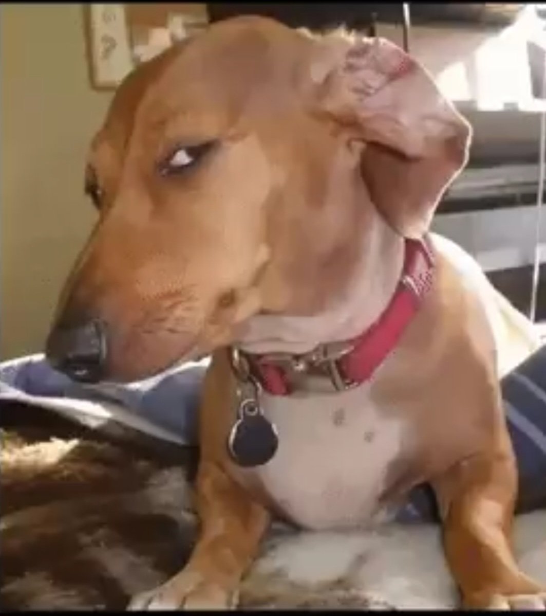 Nata 🇨🇦 tweet media