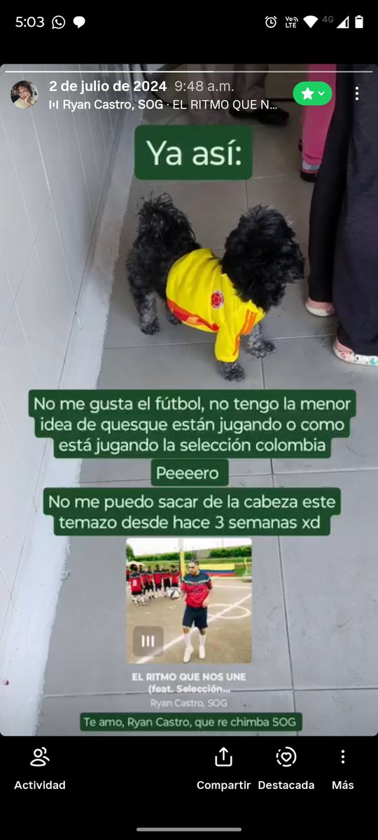 anto🌞 tweet media