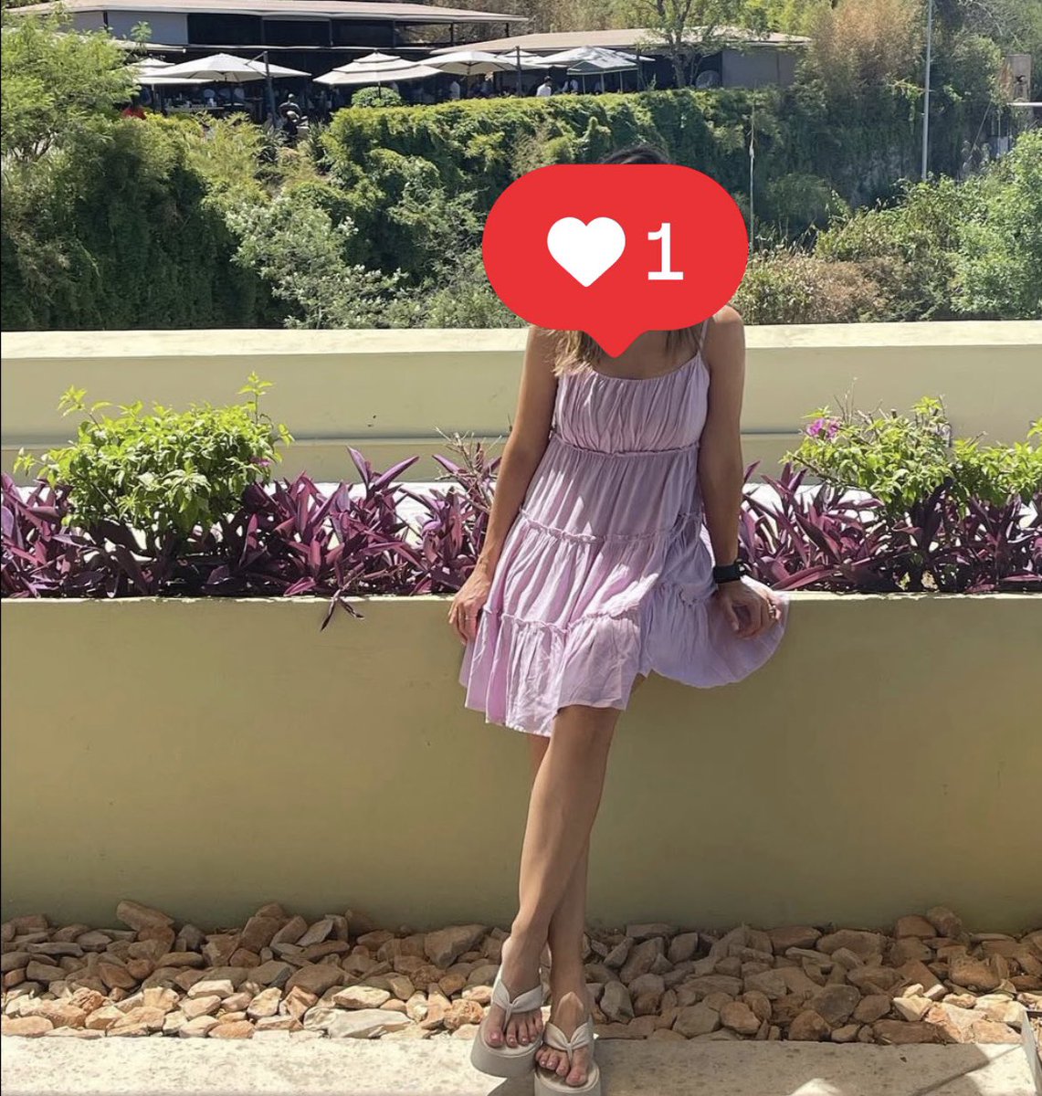Daniela 🦄💜🩷 tweet media