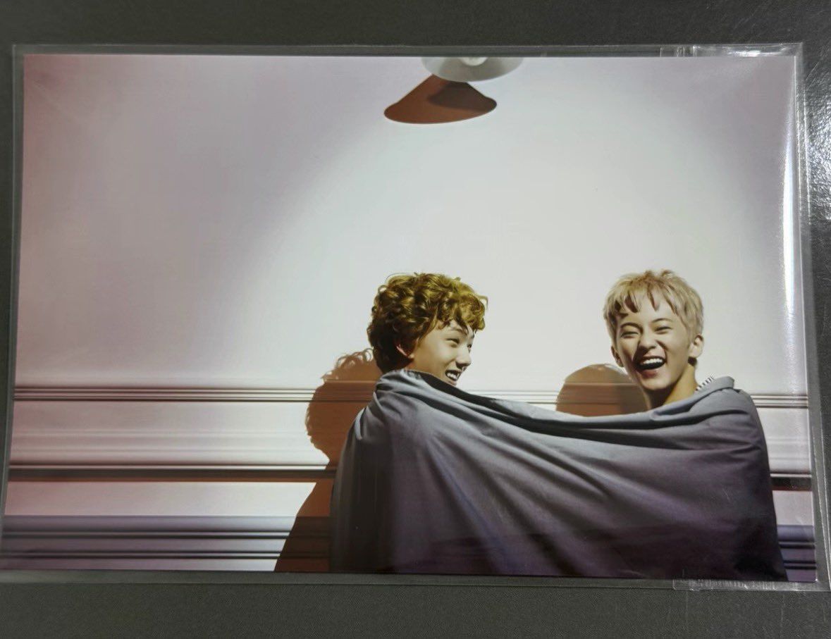 ★bella tweet media