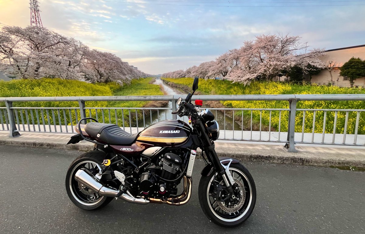 彪🐆🏍🏍³₃ tweet media