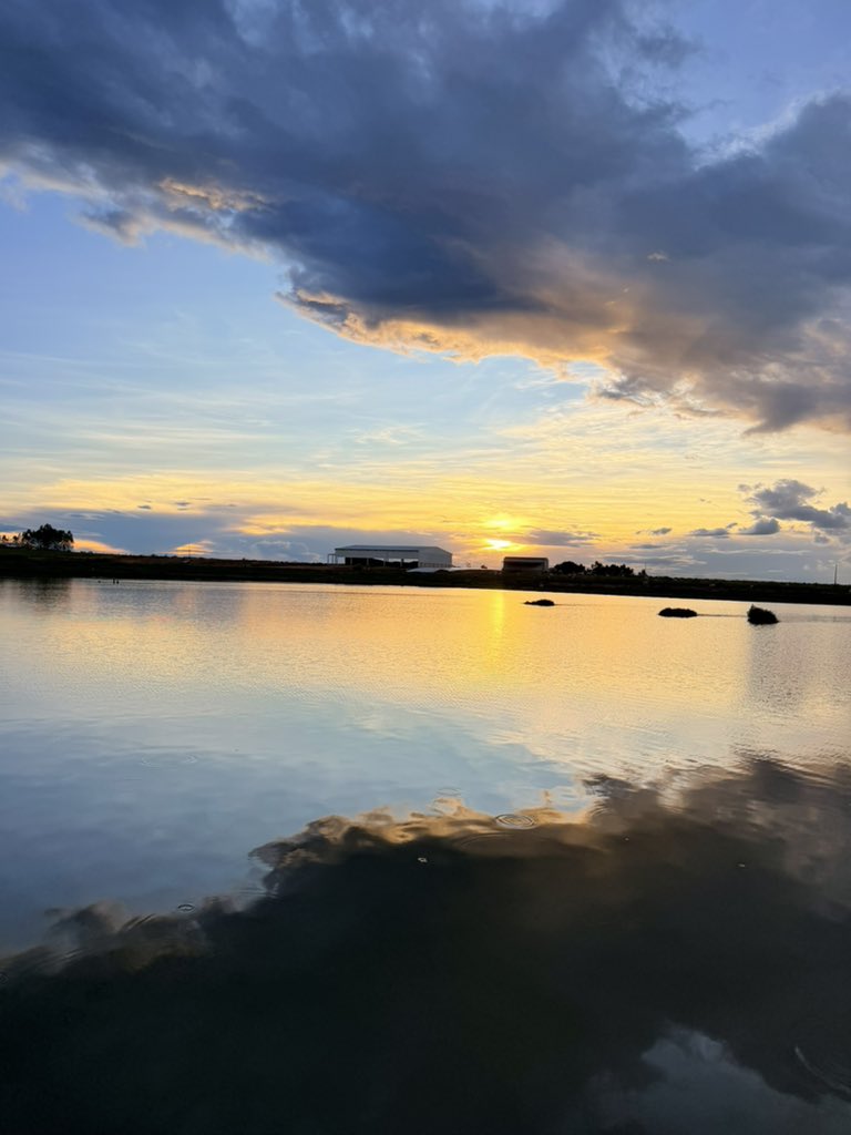 bre⁷ 🎸 tweet media