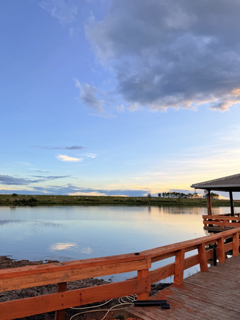 bre⁷ 🎸 tweet media