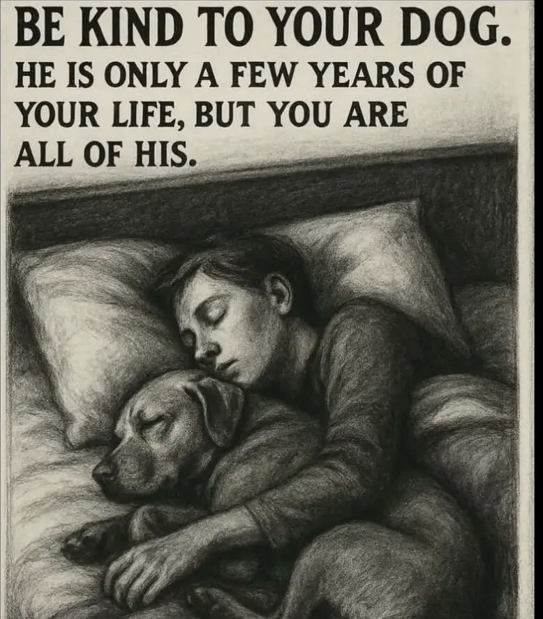 Chris 𝕏 tweet media