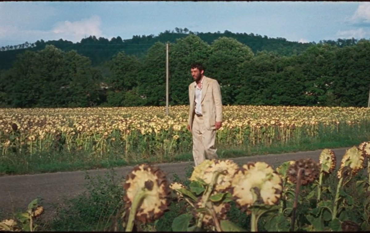 l̶i̶m̶a̶ ̶☆ harris dickinson's pr manager tweet media