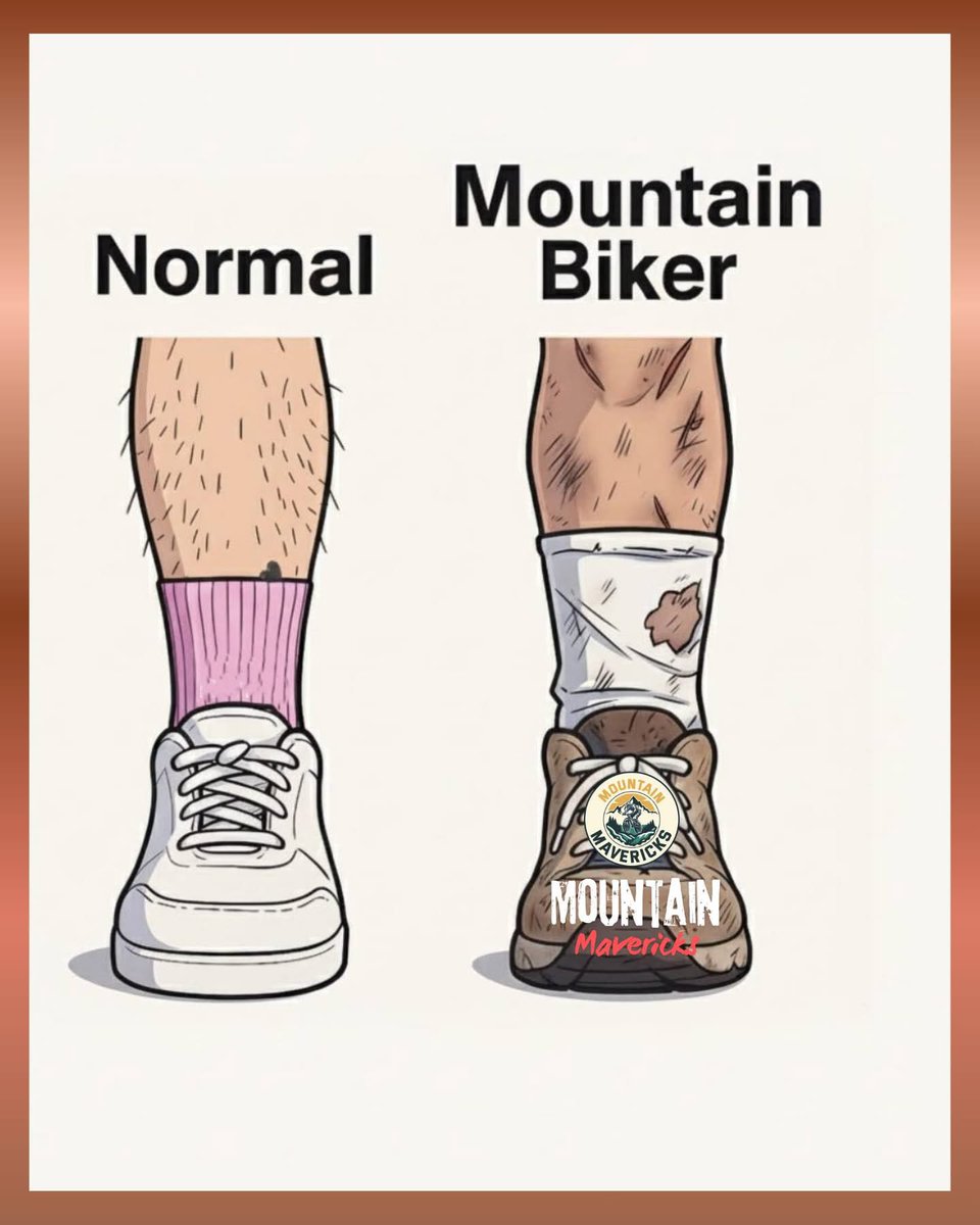 Ardillí. 🐿🚲 tweet media