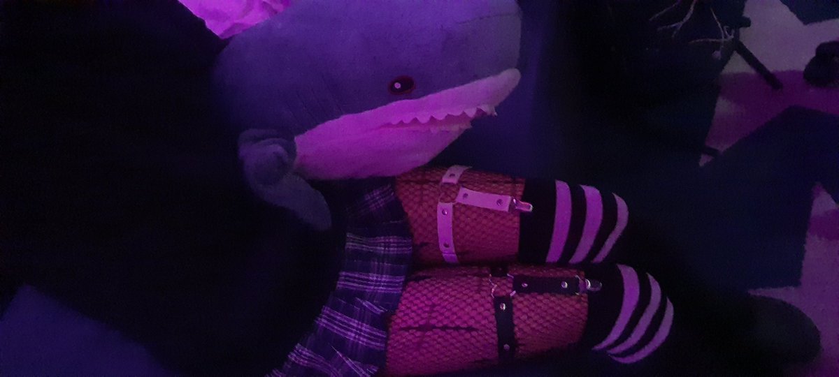 🇨🇭 Femboy Volt 🇨🇭 tweet media