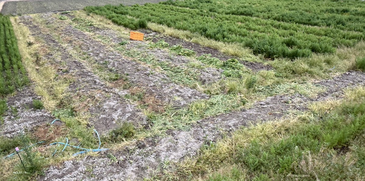 ひまり/素人兼業農家（☺️） tweet media