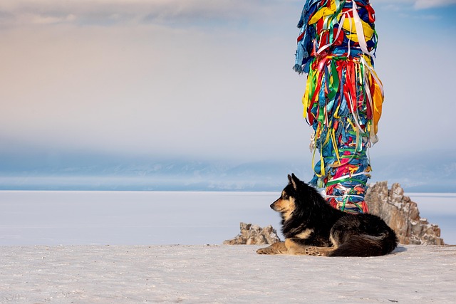 Samuel Kent tweet media