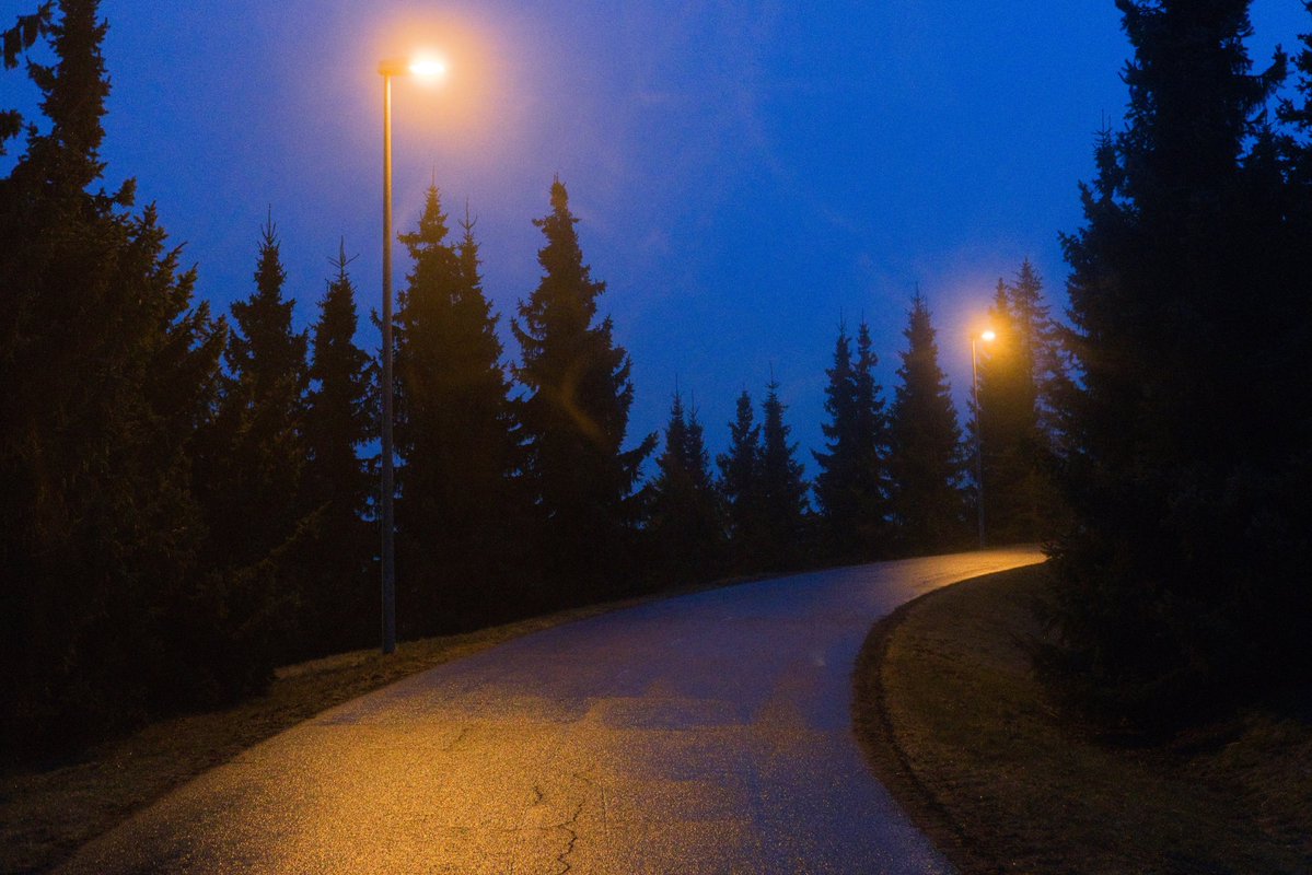 ☭⬌☠ tweet media